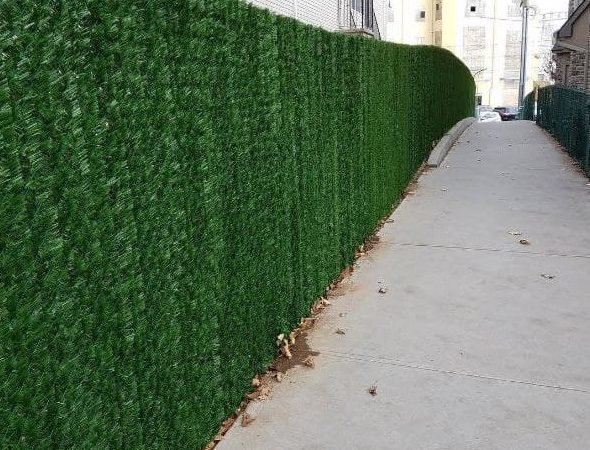 2 chain link hedge